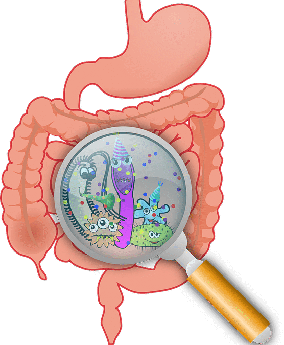 Conséquence d’une surpopulation de Candida Albican