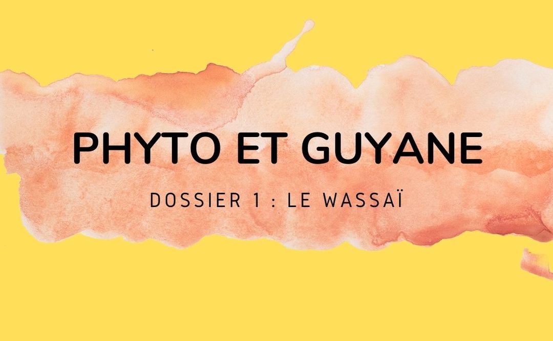 LE WASSAÏ