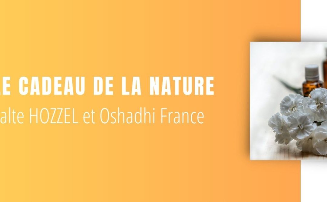 Sentir : Le cadeau de la Nature