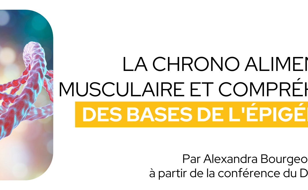 La Chrono alimentation musculaire et compréhension des bases de l’épigénétique