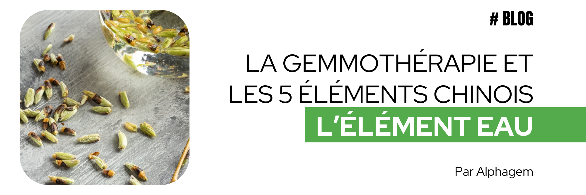GEMMO_SPN23