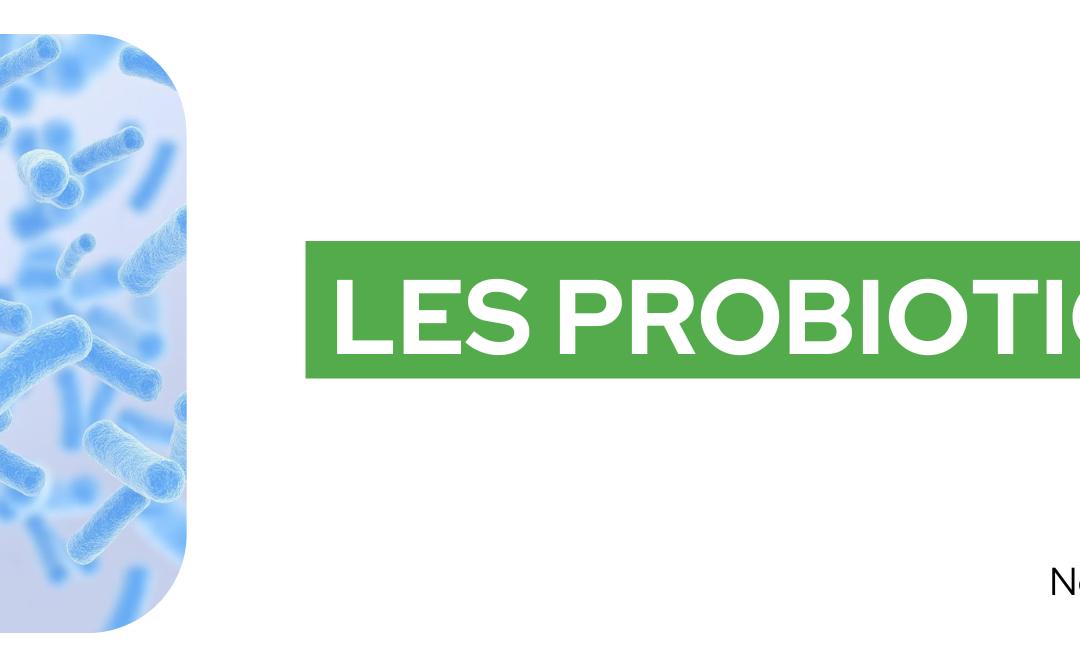 Les probiotiques – Une panacée nutraceutique