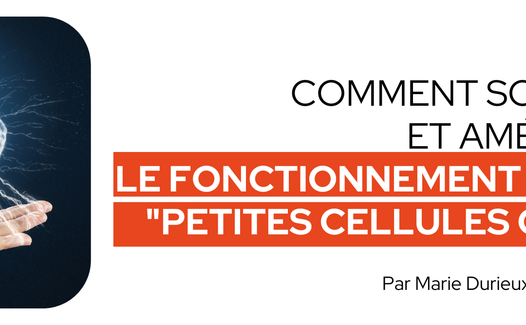 Comment soutenir et améliorer le fonctionnement de nos « petites cellules grises »
