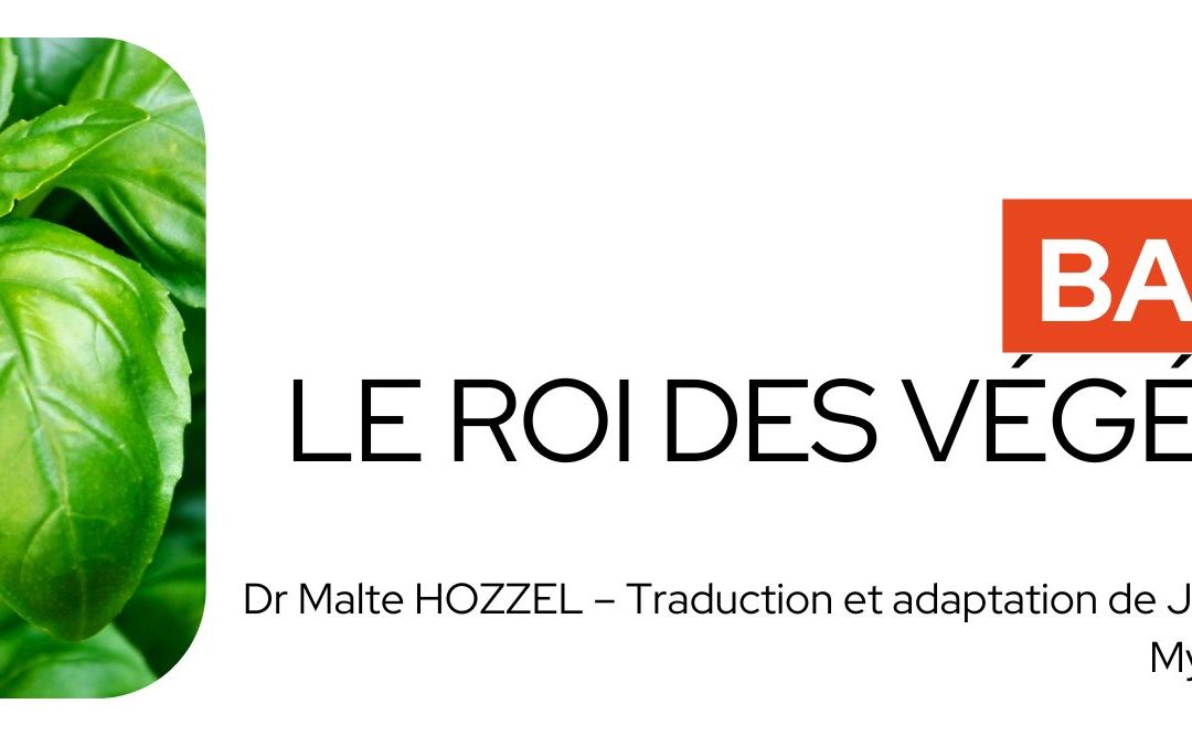 Basilic, le roi des végétaux – Les Réflexions philosophiques du Dr Hozzel