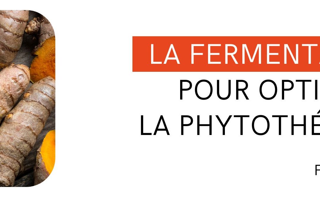 La fermentation pour optimiser la phytothérapie