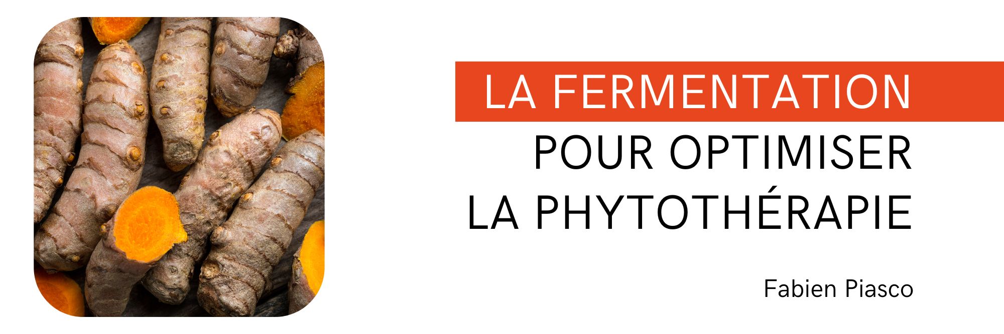 La fermentation pour optimiser la phytothérapie