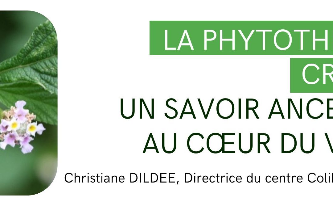 La Phytothérapie Créole : un savoir ancestral au cœur du vivant