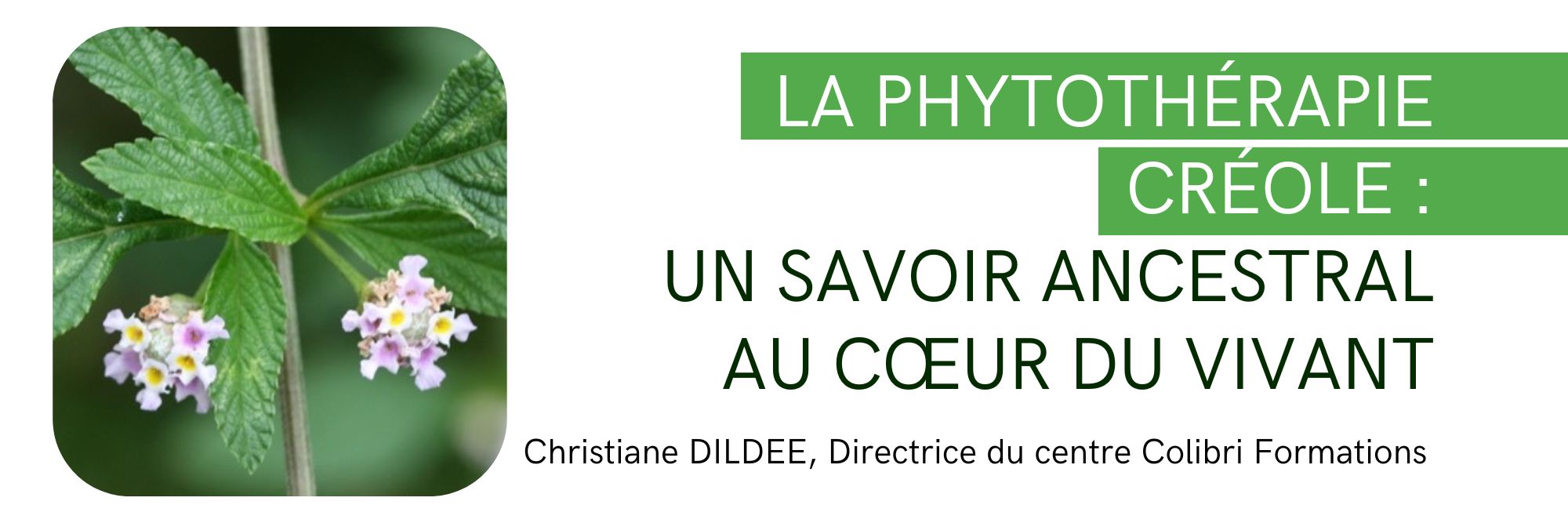 La phytothérapie Créole - Christiane DILDEE, Directrice du centre Colibri Formations