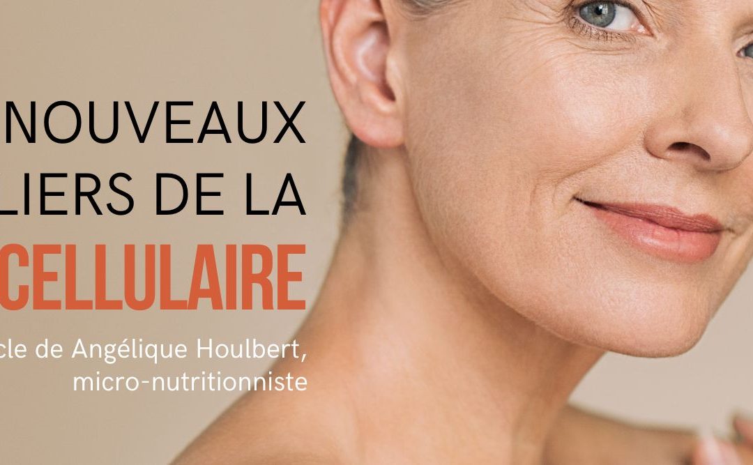 Les nouveaux piliers de la longévité cellulaire