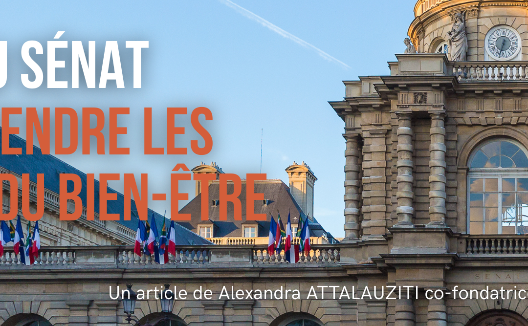 Le SPN au Sénat pour défendre les métiers du bien-être