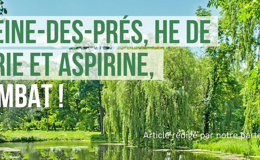 Saule, reine-des-prés, HE de Gaulthérie et aspirine, même combat !