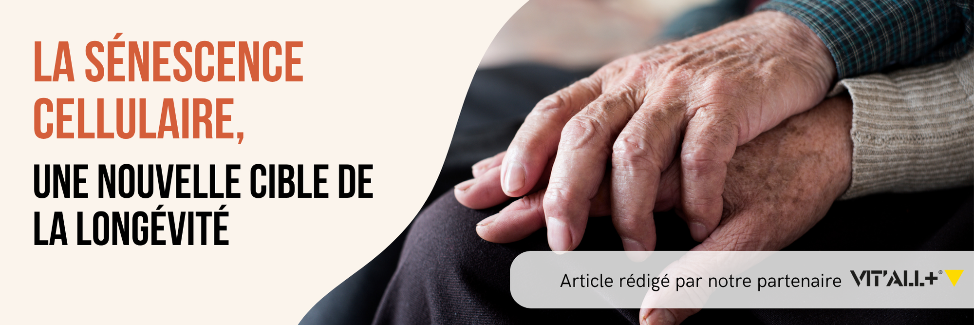 Vital + – La sénescence cellulaire, une nouvelle cible de la longévité